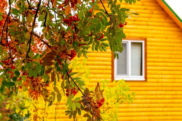 Cost of Garden Window Replacement in Boynton Beach
